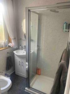 a bathroom with a shower and a toilet and a sink at Lovely 2 bedroom with private garden in Edinburgh