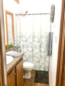 a bathroom with a toilet and a shower curtain at The Coyote Cabin - Cabins at Rim Rock in Austin