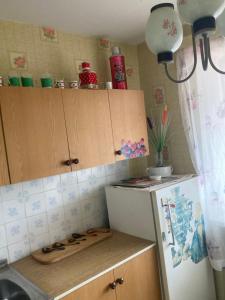 una piccola cucina con frigorifero e piano di lavoro di Back to USSR a Sillamäe