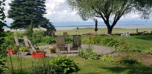 ogród z krzesłami i drzewem na polu w obiekcie Maison de L'Anse aux oies / Gîte w mieście L'islet Sur Mer