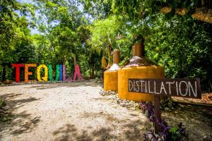 Fotografie z fotogalerie ubytování Hotel Tequila Cancun v destinaci Cancún