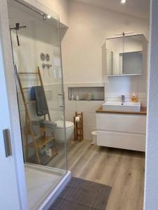 een badkamer met een douche, een toilet en een wastafel bij Blumenhof - ERHOLUNG PUR, traumhafte Aussicht in Zell im Wiesental