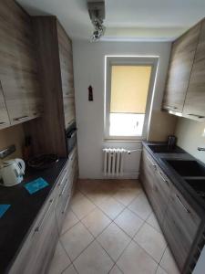 kuchnia ze zlewem i oknem w obiekcie Apartament Helskie Trolle w HELU w mieście Hel +4 zdjęcia