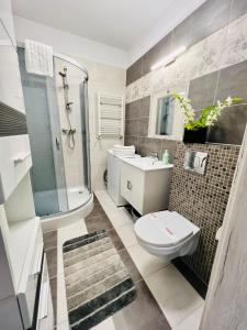 W łazience znajduje się toaleta, umywalka i prysznic. w obiekcie Apartament Eva 2 w Jeleniej Górze