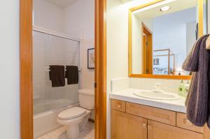 a bathroom with a toilet and a sink and a mirror at Snowcreek V 984 in Mammoth Lakes