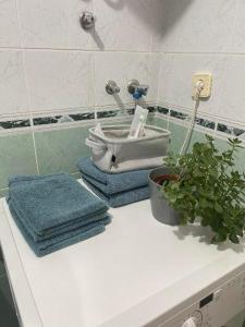 baño con aseo en una encimera con toallas en Bajka centar, en Bosanska Gradiška