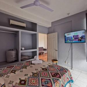 a bedroom with a bed and a flat screen tv at 1 BR APT with AC , TV , wi-fi near DT and beach in Zihuatanejo