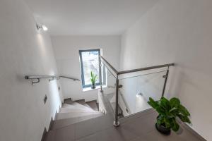 Fotografia z galérie ubytovania Apartmány Lucie v Jihlave