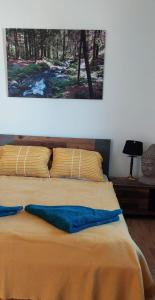 Una cama con almohadas amarillas y azules. en Wald-Panorama-Zimmer, en Mönichkirchen
