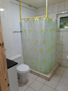 a bathroom with a toilet and a shower curtain at Cabañas casa victoria in Centro Jaramillo