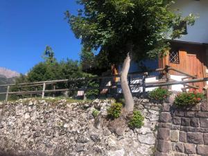 Fotografia z galérie ubytovania Casa Loria - Appartamento con Giardino v destinácii San Martino di Castrozza