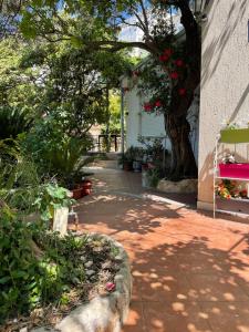 Vonkajšia záhrada v ubytovaní Apartment Marghareta
