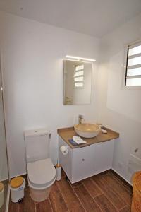 a bathroom with a sink and a toilet and a mirror at LES HAUTS DE LA BAIE in Bouillante