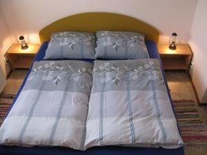 uma cama com lençóis e almofadas azuis e brancos em Modern Apartment in Carlsbad with Garden em Karlovy Vary