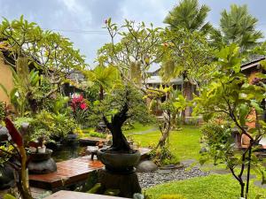 a garden with a bonsai tree in a pond at BatanTop Ubud guest house in Ubud