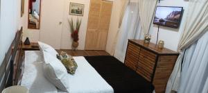 a bedroom with a bed and a television in it at Las Cabañas del Francés in Vallenar