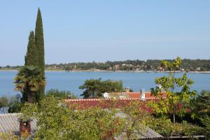 Fotografie z fotogalerie ubytování Apartments by the sea Dajla, Novigrad - 3382 v destinaci Novigrad – Istrie