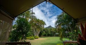 uma vista para um quintal com palmeiras e uma montanha em Ikurangi Eco Retreat em Rarotonga