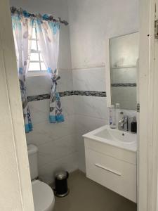 a bathroom with a sink and a toilet and a mirror at Sky Blue Residence in Lower Princeʼs Quarter