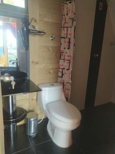 La salle de bains est pourvue de toilettes blanches et d'un lavabo. dans l'établissement Chalet de Liz, à Guatapé