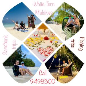 Fotografie z fotogalerie ubytování White Tern Maldives v destinaci Fenfushi