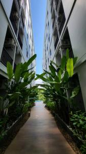 un pasillo entre dos edificios altos con plantas verdes en VIP Great Hill Phuket Airport, en Phuket