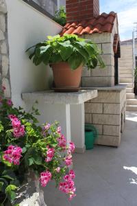 Fotografia z galérie ubytovania Apartments with a parking space Hvar - 8794 v destinácii Hvar