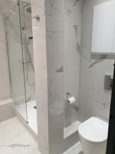 y baño blanco con ducha y aseo. en Vichy : Le 5e - Appartement design dans un ancien palace en Vichy