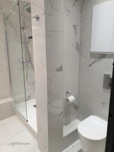 维希Le 5e - Appartement design dans un ancien palace的带淋浴和卫生间的白色浴室