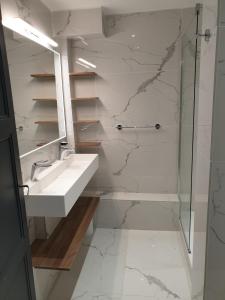 维希Le 5e - Appartement design dans un ancien palace的带水槽和淋浴的浴室