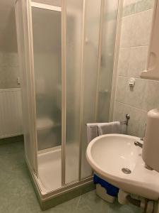a bathroom with a shower and a sink at KMETIJA KNAVS in Nova Vas