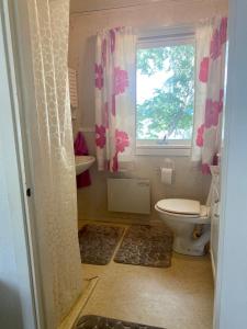 een badkamer met een toilet en een raam bij Escape to Your Very Own Private Island - Just 30 Minutes from Stockholm in Svartsjö