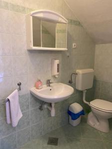 uma casa de banho com um lavatório, um WC e um espelho. em KMETIJA KNAVS em Nova Vas