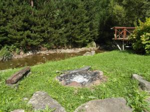 a rockery in the grass next to a river at Dom Gościnny E-Lufka in Zawoja