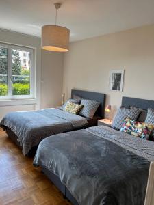 - une chambre avec 2 lits et une grande fenêtre dans l'établissement Alpes 54, à Neuchâtel