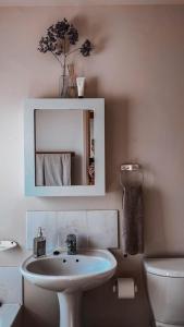 a bathroom with a sink and a mirror and a toilet at Villa Paulina in Langebaan