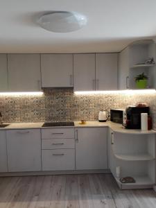 a kitchen with white cabinets and a counter top at Садиба у Насті in Nizhniy Studenyy