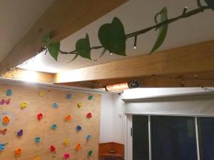 um quarto com uma parede de escalada com folhas em Fun Family House King Island em Currie