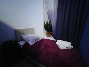 Voodi või voodid majutusasutuse kessane toas