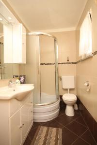a bathroom with a shower and a toilet and a sink at Apartments by the sea Valun, Cres - 8086 in Valun