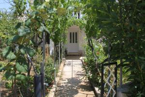 Vonkajšia záhrada v ubytovaní Apartments by the sea Verunic, Dugi otok - 8104