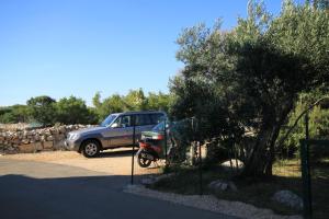 Fotografie z fotogalerie ubytování Apartments with a parking space Punta kriza, Cres - 8082 v destinaci Punta Križa