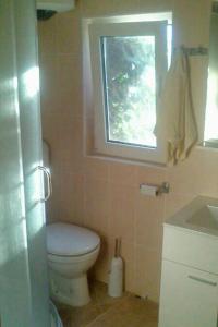 Koupelna v ubytování Seaside secluded apartments Cove Dragnjevica - Telascica, Dugi otok - 8140