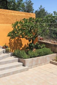 Zahrada ubytování Apartments by the sea Sali, Dugi otok - 8110