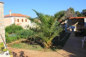 Ein Garten an der Unterkunft Apartments with WiFi Ilovik, Losinj - 8078