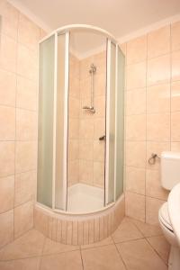 a shower with a glass door in a bathroom at Apartments by the sea Savar, Dugi otok - 8080 in Brbinj