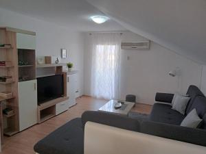 Televízia a/alebo spoločenská miestnosť v ubytovaní Apartments with a parking space Sali, Dugi otok - 8154