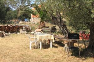Zahrada ubytování Apartments by the sea Luka, Dugi otok - 8151