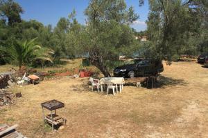 Zahrada ubytování Apartments by the sea Luka, Dugi otok - 8151