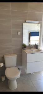 La salle de bains est pourvue de toilettes et d'un lavabo. dans l'établissement Petit Fare Rochois avec mezzanine, à La Roche-des-Arnauds